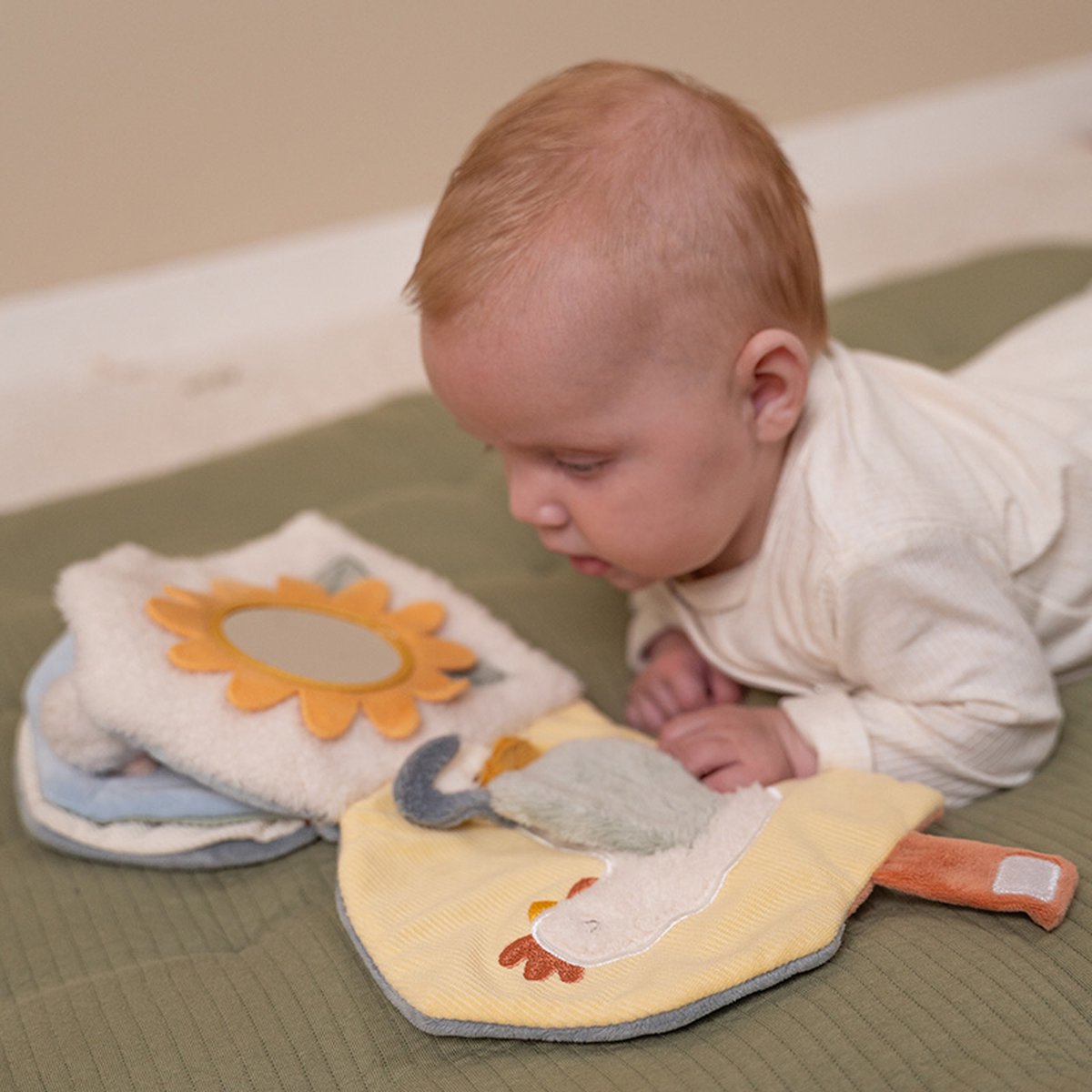 Little Dutch baby boekje