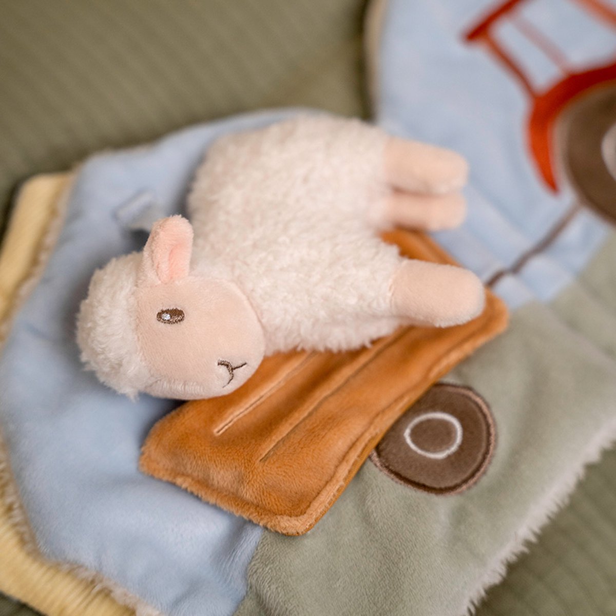 Little Dutch baby boekje