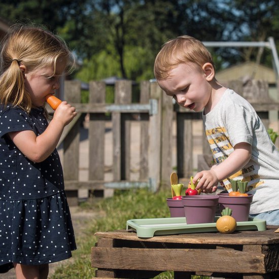 Dantoy Bio mini serre set green garden