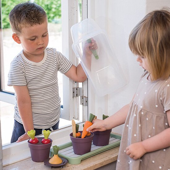 Dantoy Bio mini serre set green garden