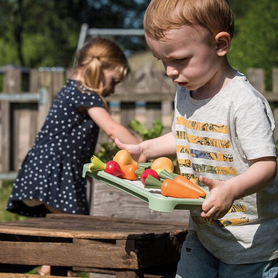 Dantoy Bio mini serre set green garden